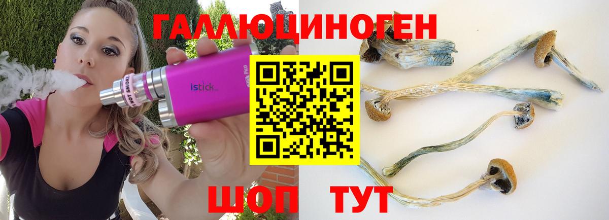 Кудрово  Галлюциногенные грибы Magic Shrooms  дарнет шоп  Вход с VPN 